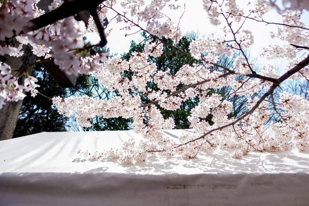 寅ホテル 台東 Hotel 寅 台东 Tora Hotel Taito A Tokyo Luaran gambar